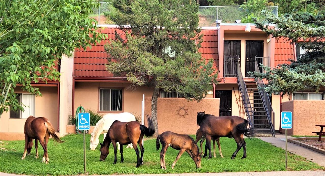 Pinecliff Village Resort Hollywood Extérieur photo